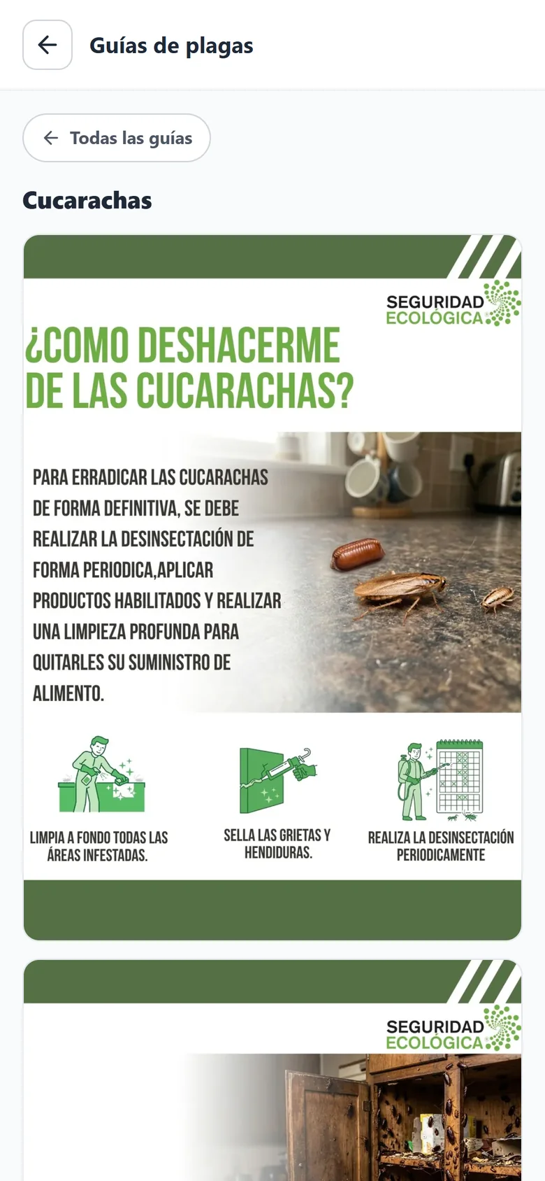 Guía de plagas para el vecino
